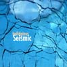 Seismic